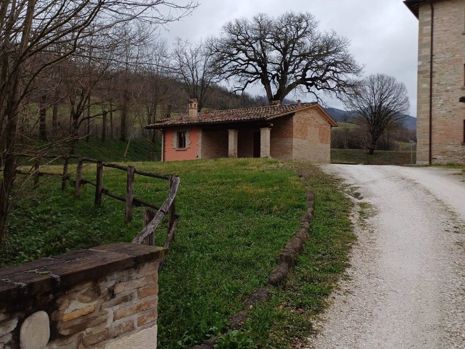 Immagine WhatsApp 2025-03-02 ore 16.51